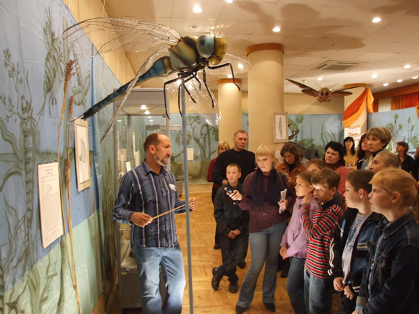 Экспозиции: Насекомые крупным планом в Саратовском музее краеведения
