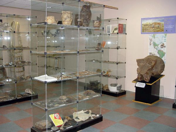 Экспозиции: Археологический зал, витрины
