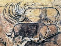 Экспозиции: Изображение носорогов в пещере (Шове) Франция
