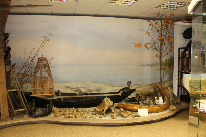 Экспозиции: Панорама реки Обь
