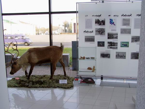 Экспозиции: Карельский краеведческий музей принимает участие в выставке-ярмарке Охота и рыбалка - 2005
