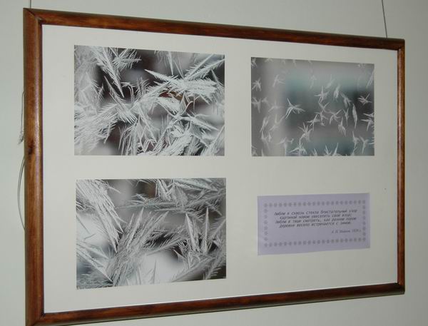 Экспозиции: Морозные узоры в Музее Метеорологическая станция Симбирска
