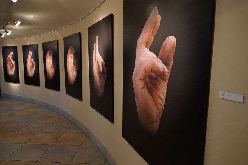 Экспозиции: Выставка Михаила Заикина Россия
