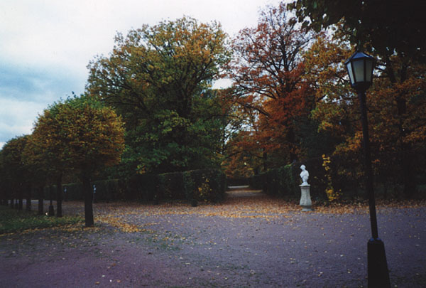 Экспозиции: Осень в парке
