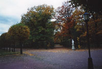 Осень в парке
