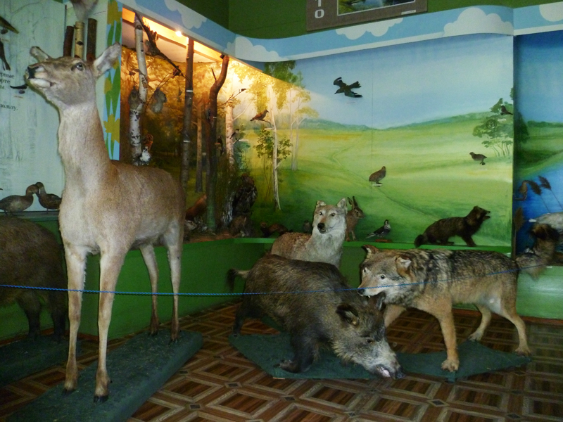 Экспозиции: Природа Рыльского района
