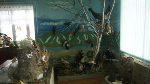Экспозиции: Флора и фауна Камчатки

