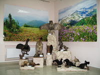 Выставка Природа Кемеровской области
