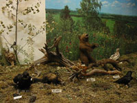 Фрагмент природно-этнографической экспозиции Лад
