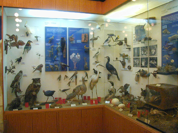 Значимые места: Вид экспозиции. Птицы
