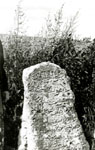 Значимые места: Надгробный камень. 1332 г.
