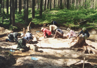 Южный Олений остров Онежского озера, студенты на археологических раскопках
