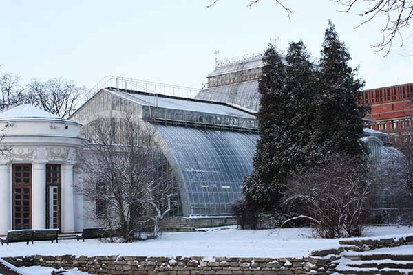 Здания и сооружения: Ботанический сад Петра Великого
