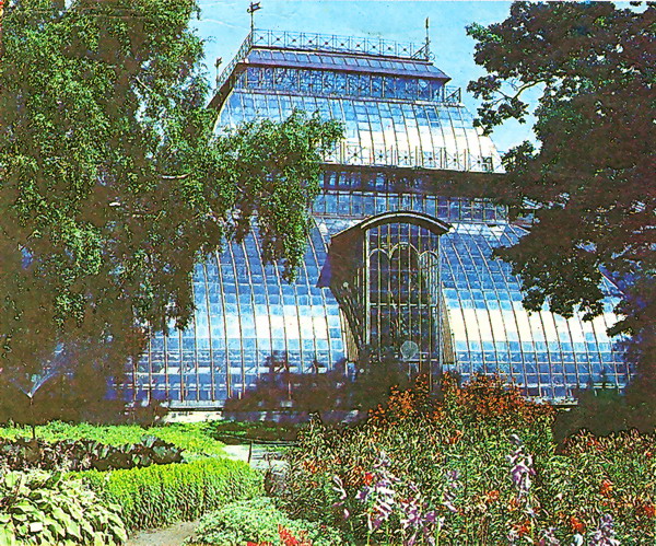 Здания и сооружения: Ботанический сад на Аптекарском острове, Петербург
