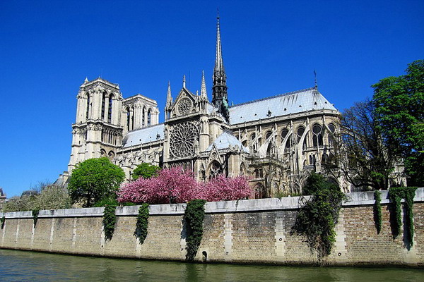 Здания и сооружения: Собор Парижской Богоматери
