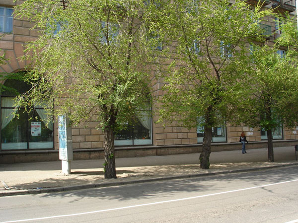 Здания и сооружения: Волгоградский музей изобразительных искусств
